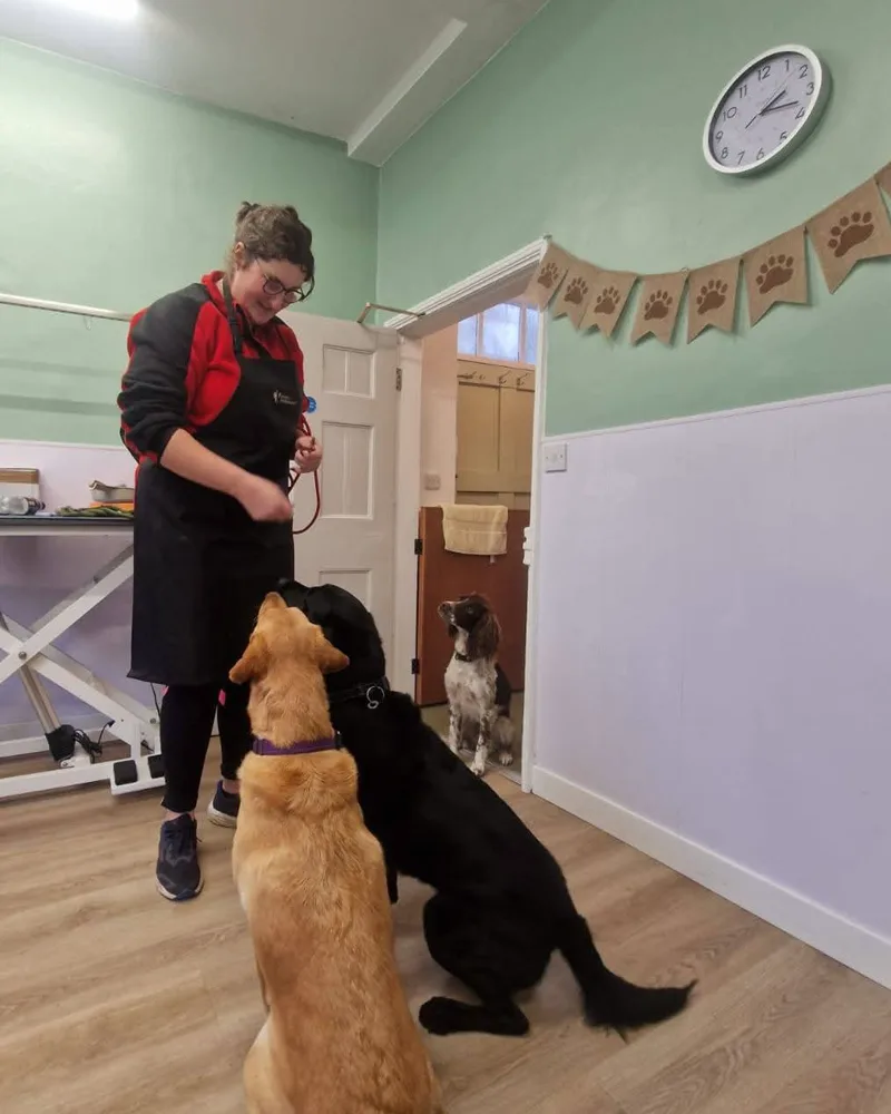 Emma, owner of Bedale Dog Grooming, beside a springer spaniel on the grooming table